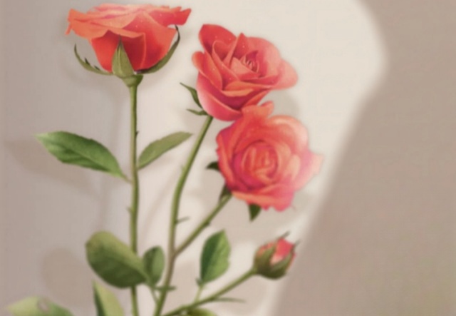 祝天下女神們節(jié)日快樂(lè)！??！